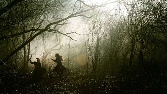 The Assassin - Backdrop