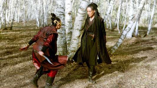 The Assassin - Backdrop