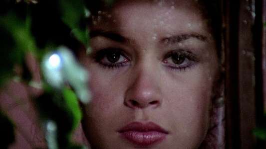 The Blood Spattered Bride - Backdrop