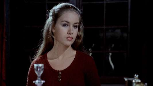 The Blood Spattered Bride - Backdrop