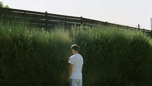 Dogtooth - Backdrop