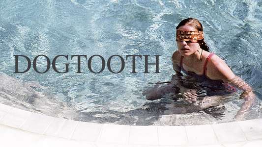 Dogtooth - Backdrop