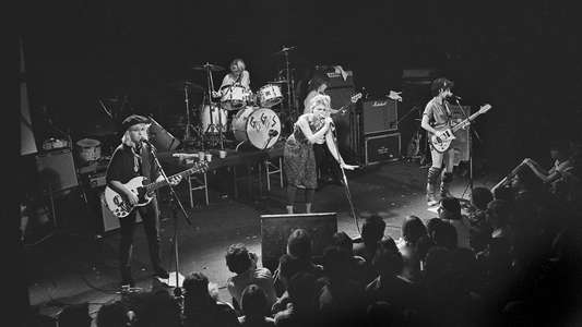 The Go-Go's - Backdrop