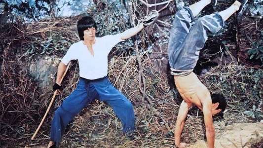 Mad Monkey Kung Fu - Backdrop