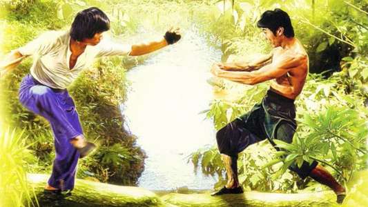 Mad Monkey Kung Fu - Backdrop