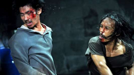The Raid - Backdrop