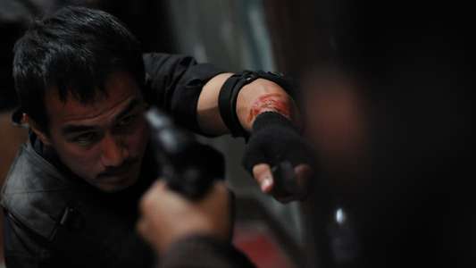 The Raid - Backdrop