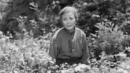 Children of Hiroshima - Backdrop