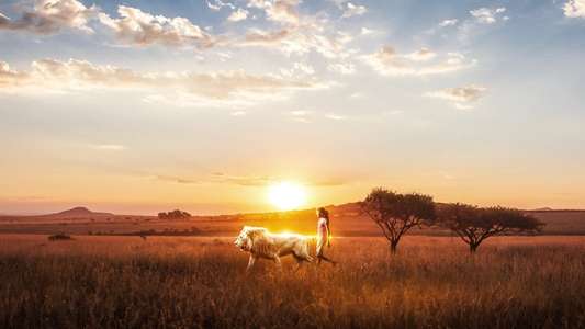 Mia and the White Lion - Backdrop
