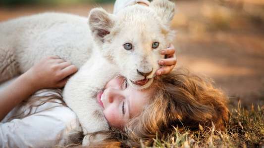 Mia and the White Lion - Backdrop