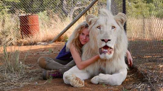 Mia and the White Lion - Backdrop
