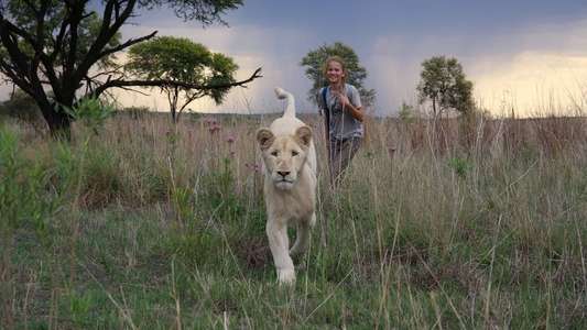 Mia and the White Lion - Backdrop
