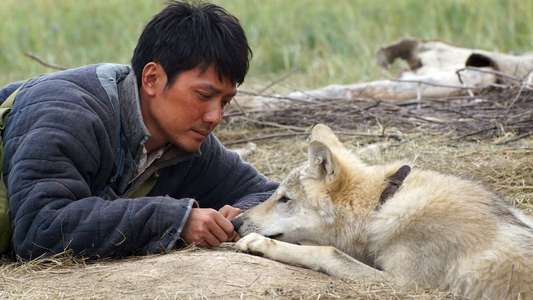Wolf Totem - Backdrop