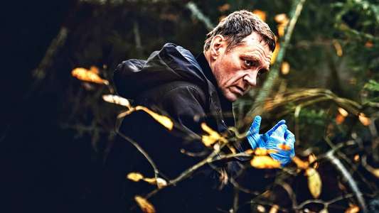 Bordertown: The Mural Murders - Backdrop