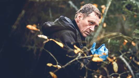 Bordertown: The Mural Murders - Backdrop