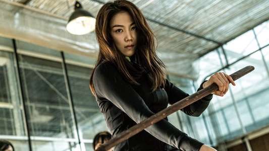 The Villainess - Backdrops