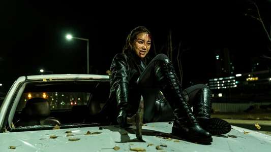 The Villainess - Backdrops