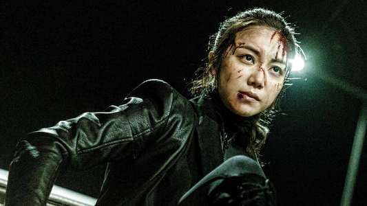 The Villainess - Backdrops