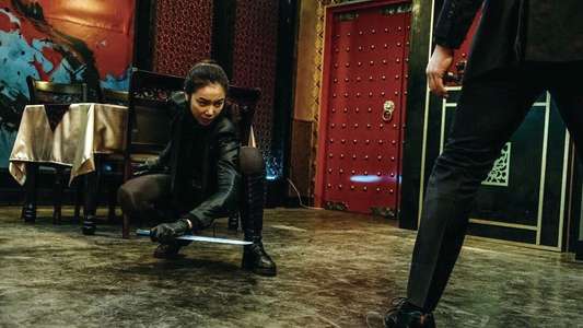 The Villainess - Backdrops