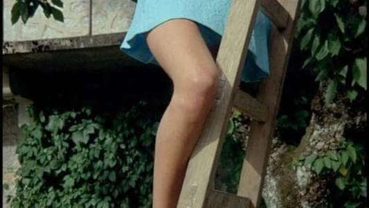 Claire's Knee - Backdrop
