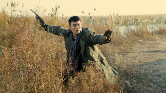 Railroad Tigers - Backdrop