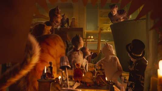 Cats - Backdrops