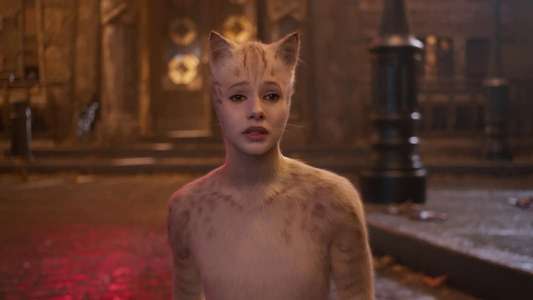 Cats - Backdrops