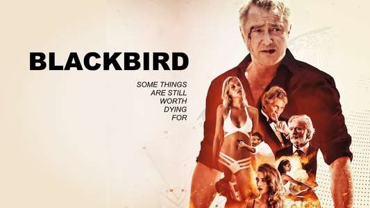 Blackbird - Backdrop