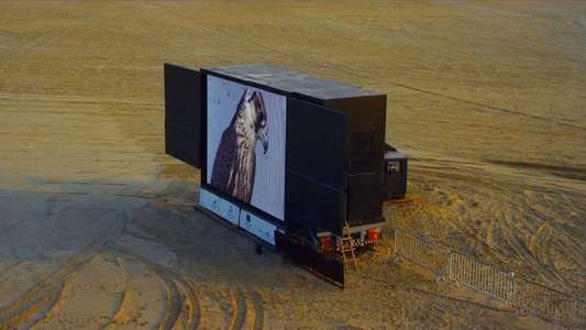 The Challenge - Backdrop