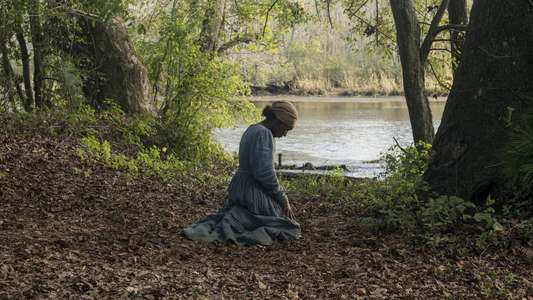 Harriet - Backdrops