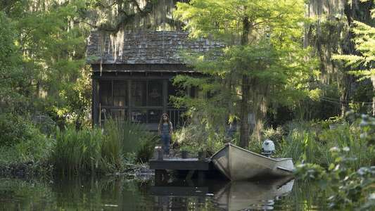 Where the Crawdads Sing - Backdrop
