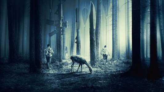 The Hunt - Backdrops
