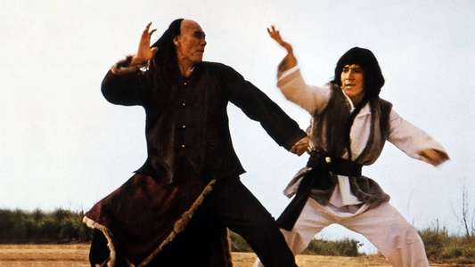 Snake and Crane Arts of Shaolin - Backdrop