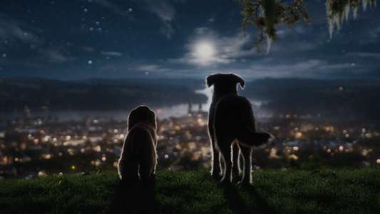 Lady and the Tramp - Backdrops