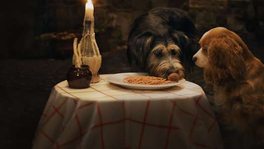 Lady and the Tramp - Backdrops
