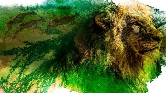 Okavango: River of Dreams - Backdrops
