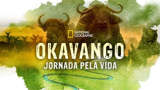 Okavango: River of Dreams - Backdrops