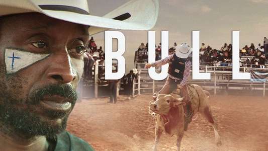 Bull - Backdrop