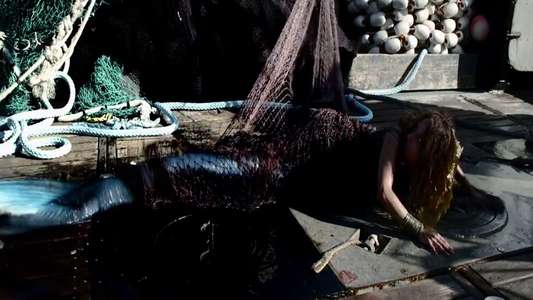 Mermaid Down - Backdrops