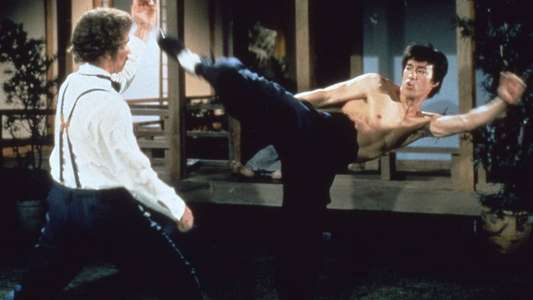 Fist of Fury - Backdrop