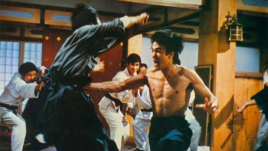 Fist of Fury - Backdrop