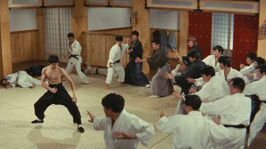 Fist of Fury - Backdrop
