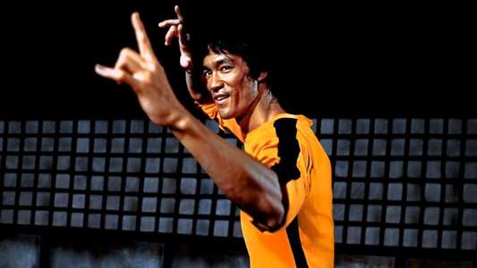 Iron Fists and Kung Fu Kicks - Backdrop