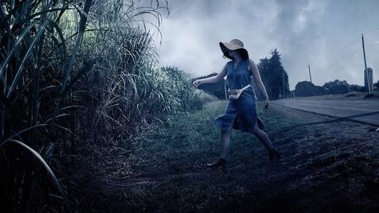 In the Tall Grass - Backdrop