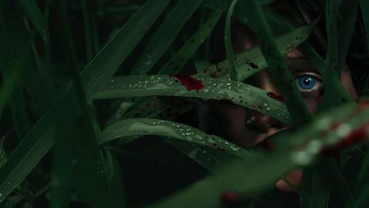 In the Tall Grass - Backdrop