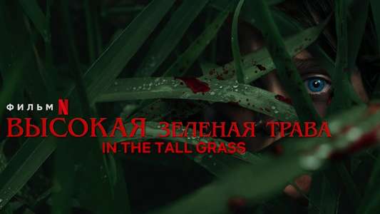 In the Tall Grass - Backdrop