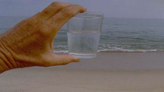 A Month of Single Frames (for Barbara Hammer) - Backdrop