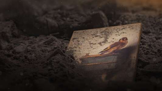 The Goldfinch - Backdrops