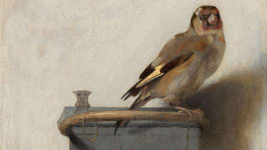 The Goldfinch - Backdrops