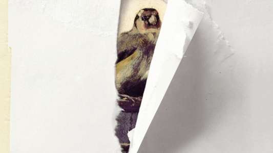 The Goldfinch - Backdrops